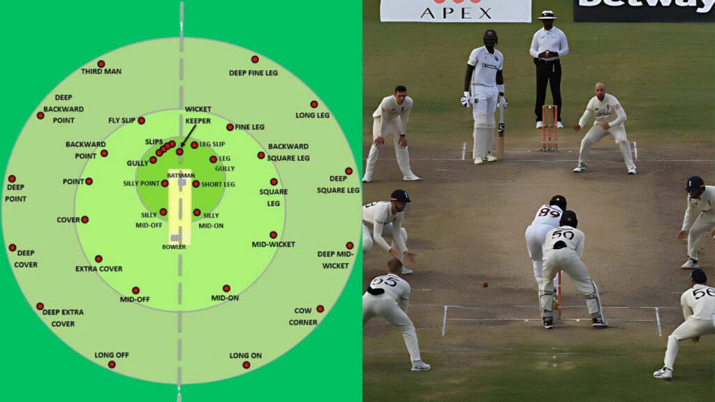 Cricket Fielding Positions
